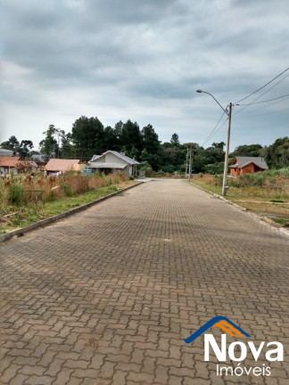 Imagem Imóvel com 4 Quartos à Venda,  em Vila Germânia - Nova Petrópolis