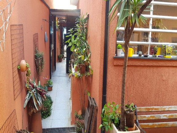 Imagem Casa com 3 Quartos à Venda, 117 m² em Vila Santa Catarina - São Paulo