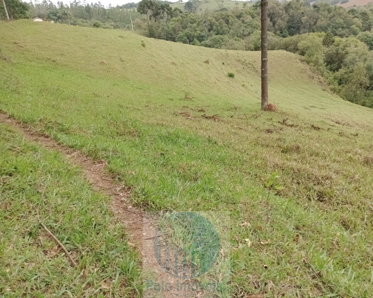 Imagem Imóvel com 2 Quartos à Venda, 150.000 m² em Rural - Jacuí Imagem Imóvel com 2 Quartos à Venda, 150.000 m² em Rural - Jacuí