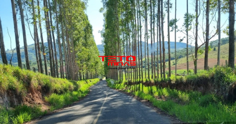 Imagem Imóvel à Venda, 360 m² em Zona Rural - Poços De Caldas Imagem Imóvel à Venda, 360 m² em Zona Rural - Poços De Caldas