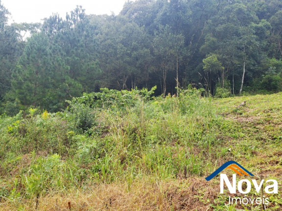 Imagem Imóvel à Venda, 367 m² em São Luiz - Caxias Do Sul Imagem Imóvel à Venda, 367 m² em São Luiz - Caxias Do Sul