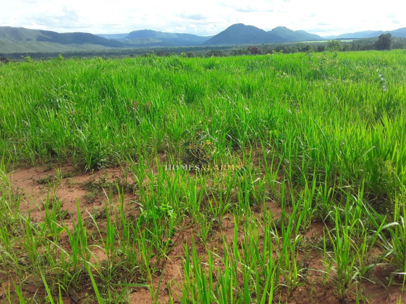 Imagem Imóvel com 3 Quartos à Venda, 2.770 m² em Zona Rural - Barra Do Bugres Imagem Imóvel com 3 Quartos à Venda, 2.770 m² em Zona Rural - Barra Do Bugres