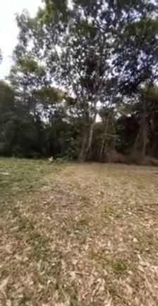 Imagem Terreno em Condomínio à Venda, 925 m² em Aldeia Dos Camarás - Camaragibe