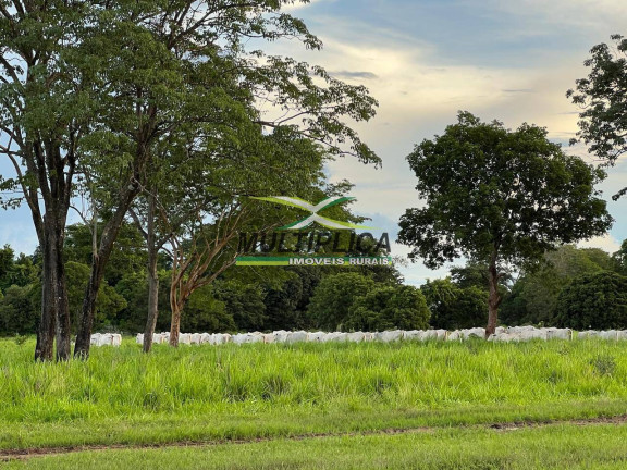Imagem Fazenda à Venda, 3.388 m² em Aruanã Imagem Fazenda à Venda, 3.388 m² em Aruanã