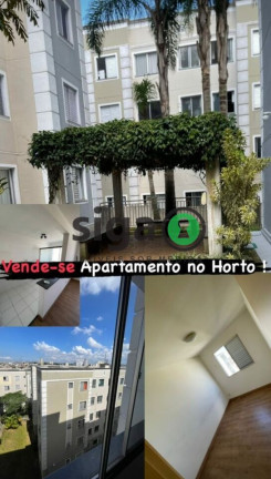 Imagem Apartamento com 2 Quartos à Venda, 46 m² em Parque Munhoz - São Paulo Imagem Apartamento com 2 Quartos à Venda, 46 m² em Parque Munhoz - São Paulo