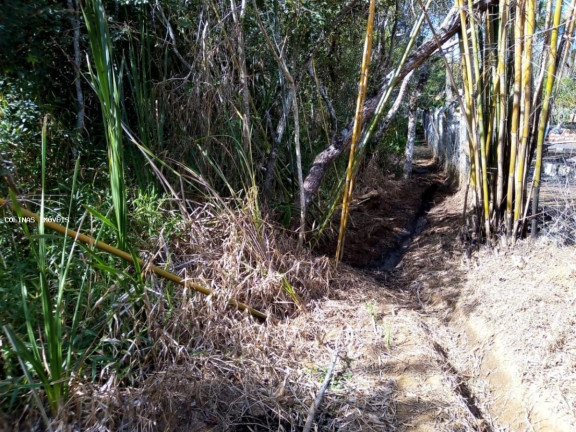 Imagem Terreno à Venda, em Depois Do Centro - Ibiúna Imagem Terreno à Venda, em Depois Do Centro - Ibiúna