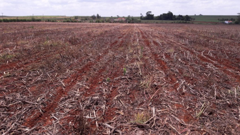 Imagem Terreno à Venda, 328.000 m² em Parque Frezarin - Santa Bárbara D'oeste