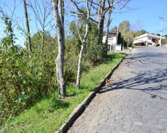 Imagem Imóvel à Venda, 440 m² em Santa Corona - Caxias Do Sul
