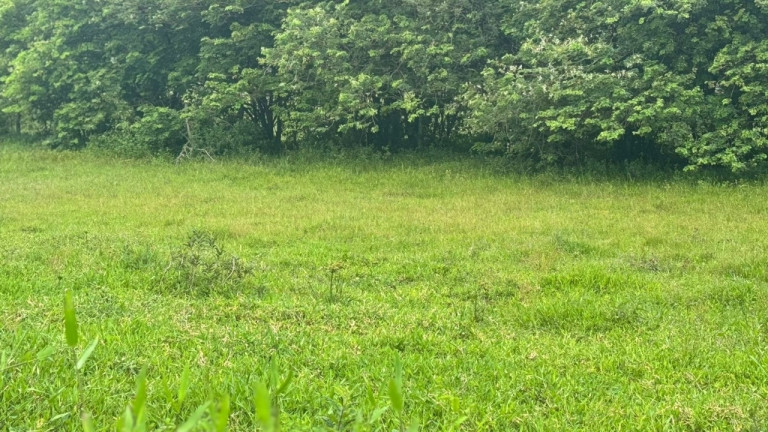 Terreno à Venda, 450 m² em Ribeirão Da Ilha - Florianópolis