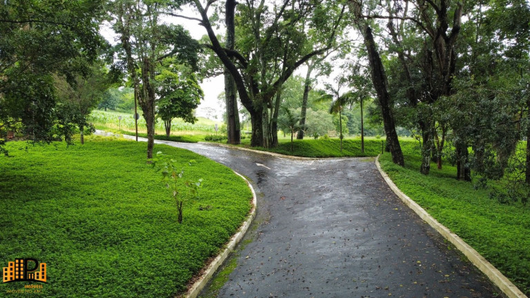 Imagem Terreno à Venda, 20.000 m² em Campo Largo - Jarinu