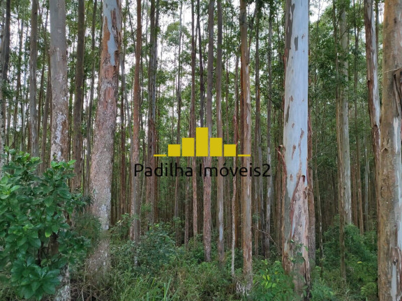 Imagem Fazenda à Venda, 100 m² em Itapeva Imagem Fazenda à Venda, 100 m² em Itapeva