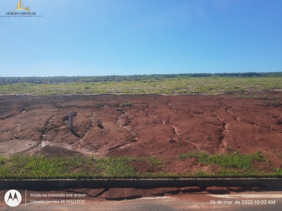 Imagem Terreno à Venda, 360 m² em Primeira Linha - Criciúma Imagem Terreno à Venda, 360 m² em Primeira Linha - Criciúma