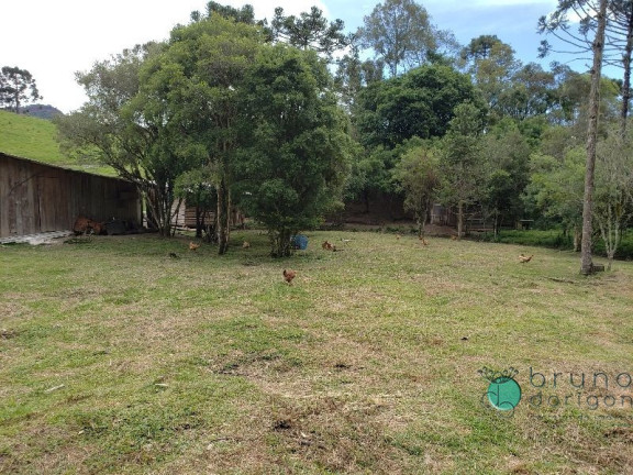 Imagem Imóvel com 3 Quartos à Venda, 350.000 m² em Zona Rural - Bom Retiro