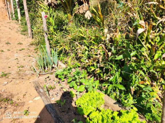 Imagem Chácara à Venda,  em Bairro Do Paruru - Ibiúna