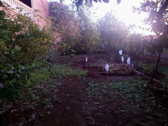 Imagem Casa com 3 Quartos à Venda, 71 m² em Parque Do Mirante - Luís Antônio