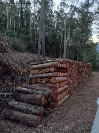 Imagem Terreno à Venda, 20.978 m² em Arroio Paixão - Nova Petrópolis