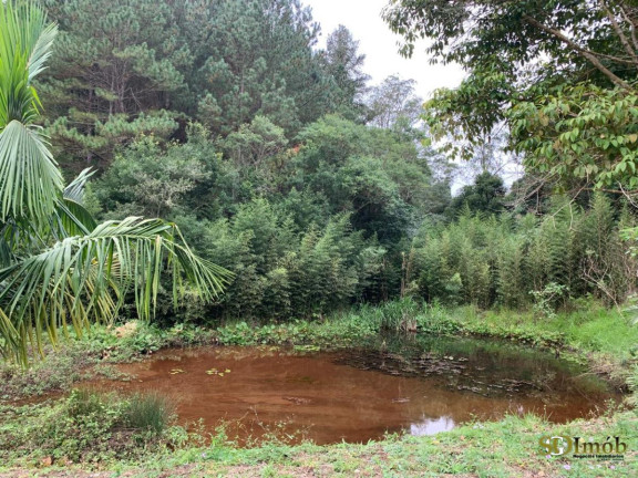 Imagem Chácara com 2 Quartos à Venda, 5.000 m² em Capinzal - Guapiara