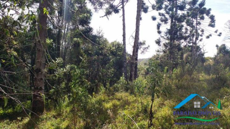 Imagem Terreno à Venda, 113.740 m² em Centro - Gonçalves Imagem Terreno à Venda, 113.740 m² em Centro - Gonçalves
