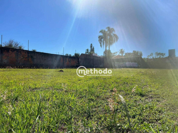 Imagem Terreno para Alugar, 1.064 m² em Taquaral - Campinas Imagem Terreno para Alugar, 1.064 m² em Taquaral - Campinas