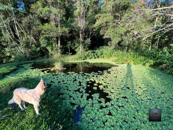 Imagem Imóvel com 8 Quartos à Venda, 700 m² em Centro São Lorenço Da Serra - São Lourenço Da Serra Imagem Imóvel com 8 Quartos à Venda, 700 m² em Centro São Lorenço Da Serra - São Lourenço Da Serra