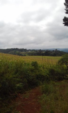 Imagem Imóvel com 5 Quartos à Venda, 420.000 m² em Nona Rural