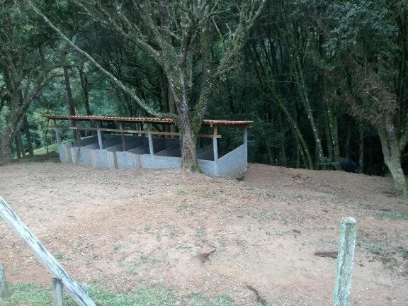 Imagem Imóvel à Venda, 77.000 m² em Barigui - Araucária Imagem Imóvel à Venda, 77.000 m² em Barigui - Araucária