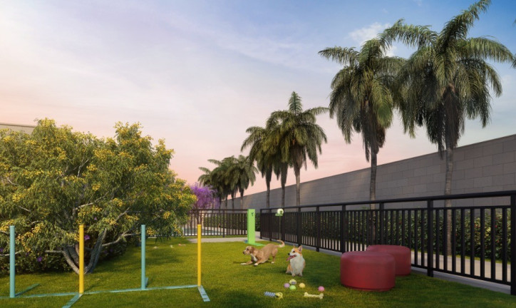 Imagem Apartamento com 2 Quartos à Venda, 32 m² em Várzea Da Barra Funda - São Paulo Imagem Apartamento com 2 Quartos à Venda, 32 m² em Várzea Da Barra Funda - São Paulo
