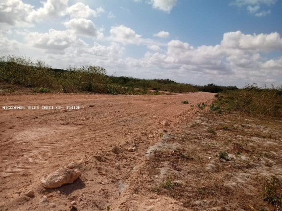 Imagem Terreno para Alugar, 700 m² em Araturi (jurema) - Caucaia Imagem Terreno para Alugar, 700 m² em Araturi (jurema) - Caucaia