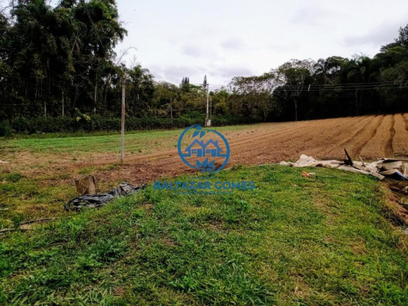 Imagem Imóvel com 3 Quartos à Venda, 56.000 m² em Cocuera - Mogi Das Cruzes