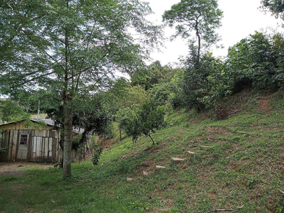 Imagem Casa à Venda, 36 m² em águas Claras - Viamão
