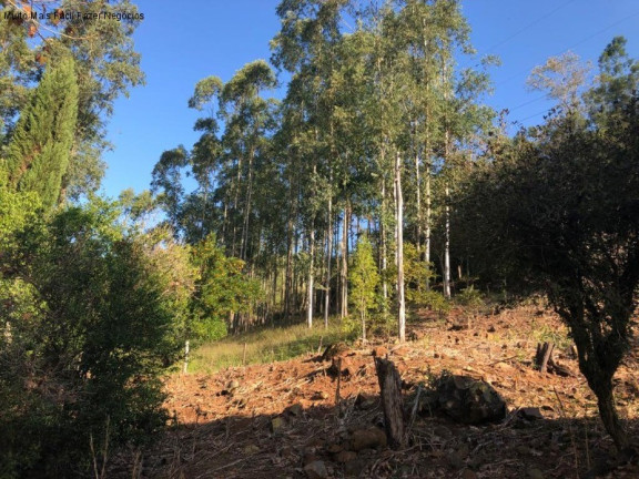 Imagem Terreno à Venda, 3 m² em Rua São José Do Cai - Nova Petrópolis Imagem Terreno à Venda, 3 m² em Rua São José Do Cai - Nova Petrópolis