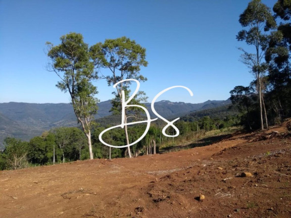 Imagem Terreno à Venda, 30.000 m² em Linha Carahá - Gramado