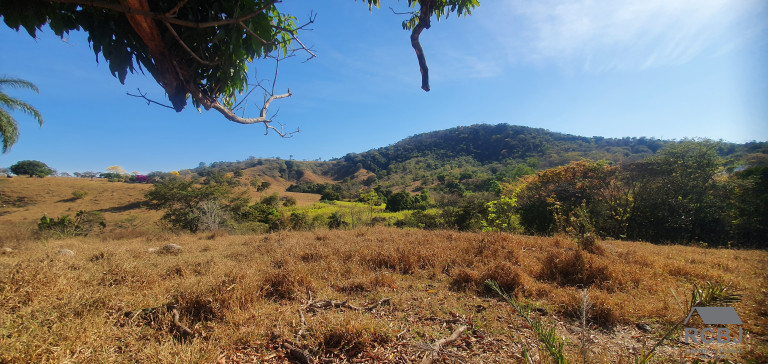 Terreno à Venda, 25.000 m² em Campo Alegre - Esmeraldas