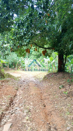 Imagem Imóvel com 2 Quartos à Venda, 100 m² em Ana Dias - Ana Dias