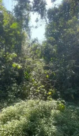 Imagem Terreno à Venda, 417 m² em Guaratuba - Bertioga Imagem Terreno à Venda, 417 m² em Guaratuba - Bertioga