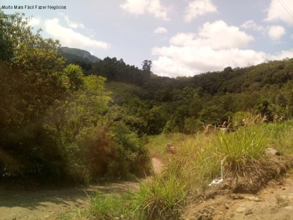 Imagem Terreno à Venda, 3 m² em Linha Pirajá Baixa - Nova Petrópolis