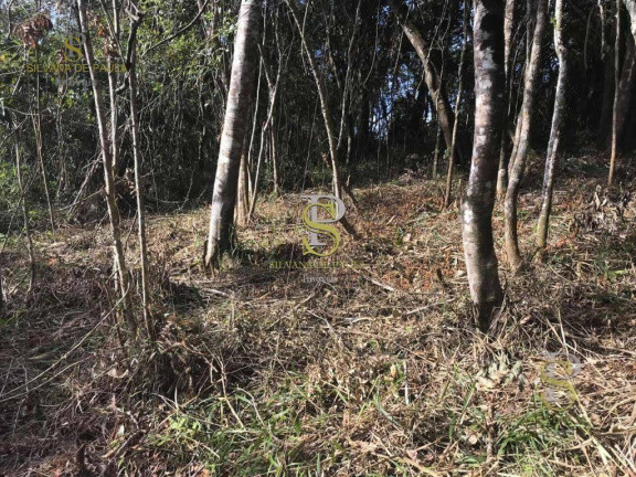 Imagem Terreno à Venda, 1.500 m² em Mairiporã - Mairiporã Imagem Terreno à Venda, 1.500 m² em Mairiporã - Mairiporã
