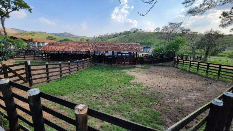 Imagem Imóvel com 15 Quartos à Venda, 2.783.000 m² em Vila Pantaleão - Caçapava Imagem Imóvel com 15 Quartos à Venda, 2.783.000 m² em Vila Pantaleão - Caçapava