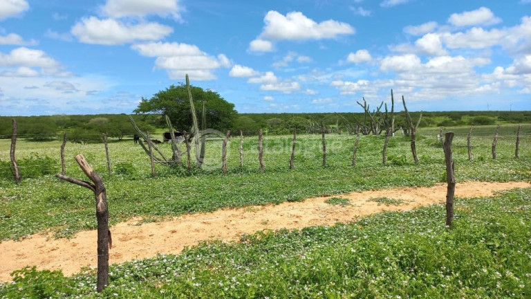 Imagem Fazenda à Venda, 3.000.000 m² em Rural - Jandaíra Imagem Fazenda à Venda, 3.000.000 m² em Rural - Jandaíra