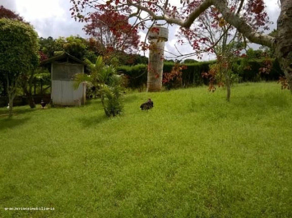 Imagem Chácara à Venda,  em Consultar - Ibiúna