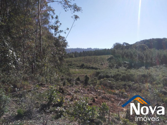 Imagem Imóvel à Venda, em Linha Imperial - Nova Petrópolis Imagem Imóvel à Venda, em Linha Imperial - Nova Petrópolis