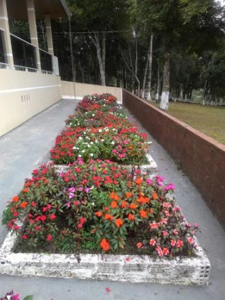Imagem Imóvel com 3 Quartos à Venda, 26.105 m² em Ribeirãozinho - Agudos Do Sul