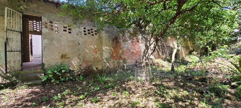 Imagem Casa com 3 Quartos à Venda, 150 m² em Menino Deus - Porto Alegre