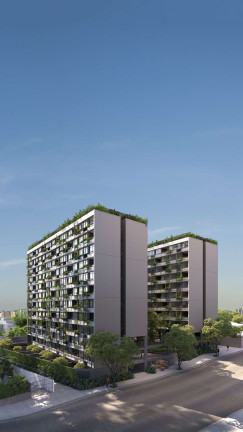 Imagem Apartamento com 2 Quartos à Venda, 66 m² em Vila Ipojuca - São Paulo Imagem Apartamento com 2 Quartos à Venda, 66 m² em Vila Ipojuca - São Paulo
