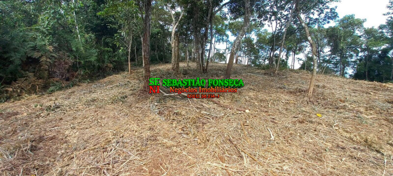 Imagem Chácara à Venda, 30.000 m² em Centro - Monteiro Lobato Imagem Chácara à Venda, 30.000 m² em Centro - Monteiro Lobato