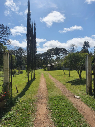 Imagem Imóvel com 4 Quartos à Venda, 38.704 m² em Chimboveiro - Mandirituba