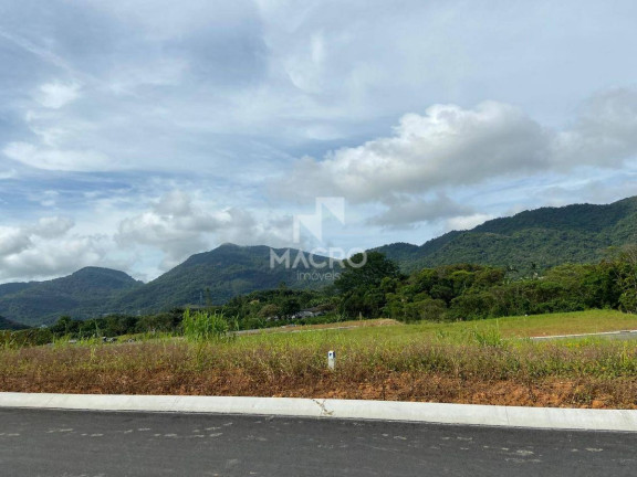 Imagem Terreno à Venda, em Centro - Schroeder Imagem Terreno à Venda, em Centro - Schroeder