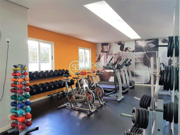 Imagem Apartamento com 3 Quartos à Venda, 280 m² em Moema Pássaros - São Paulo