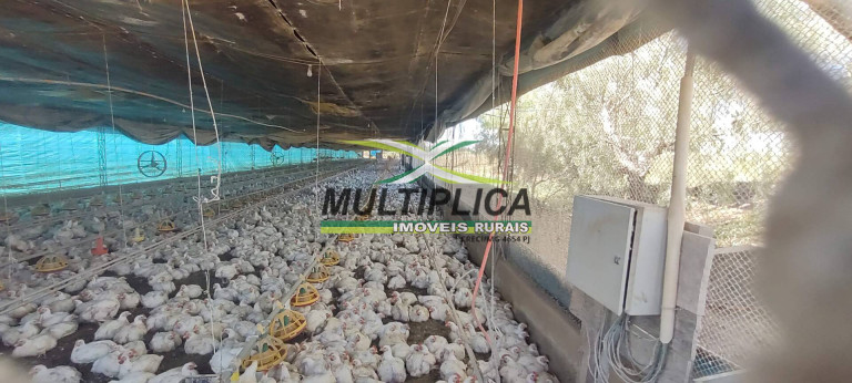 Imagem Chácara à Venda, 3 m² em Uberlândia Imagem Chácara à Venda, 3 m² em Uberlândia