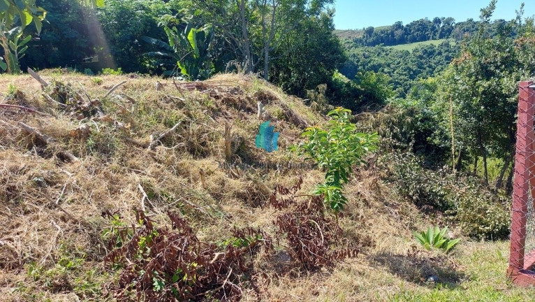 Imagem Terreno à Venda, 756 m² em Faria Lemos - Bento Gonçalves Imagem Terreno à Venda, 756 m² em Faria Lemos - Bento Gonçalves